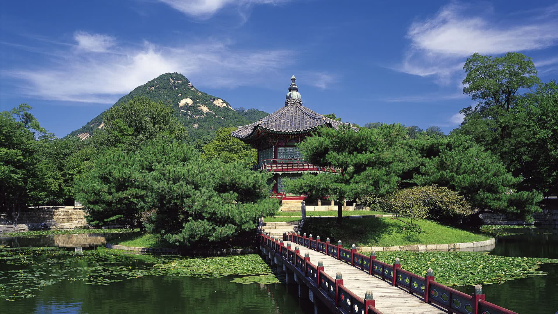 世界田径线上竞技平台：虚拟赛事拓展受众范围，世界田径锦标赛赞助商
